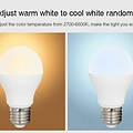 Milight / MiBoxer 6 Watt RGB + Warm Wit en Koud Wit E27 CCT Dual White Lamp