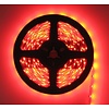 LEDStrip Rood 5 Meter 60 LED per meter 12 Volt