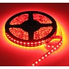 LEDStrip Rood 5 Meter 120 LED per meter 12 Volt