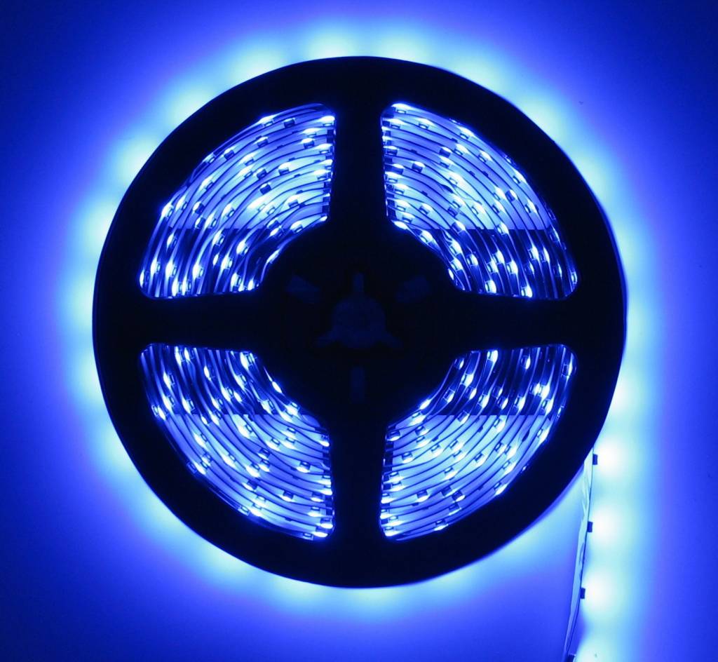 teller voorzichtig Adviseur LEDStrips Blauw 5 Meter 60 LED per meter 24V - LEDStripXL - LEDStripXL