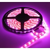 LEDStrip Roze 5 Meter 60 LED per meter 12 Volt