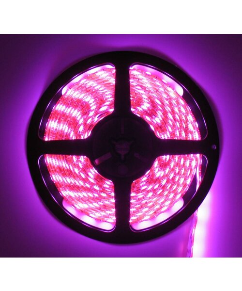 LEDStrip Roze 1 Meter 60 LED per meter 12 Volt