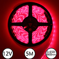 LEDStrip Rood 660nm (deep red) 5 meter 12V