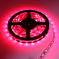 LEDStrip Rood 660nm (deep red) 5 meter 12V