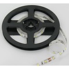 PowerLED Helder Wit 0,5 t/m 2,5 Meter 60LED per meter 12Volt