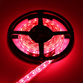 LED Strip RGB + Warm Wit + Koud Wit 2.5 meter 60led/m 5in1 led 24V Dual White CCT