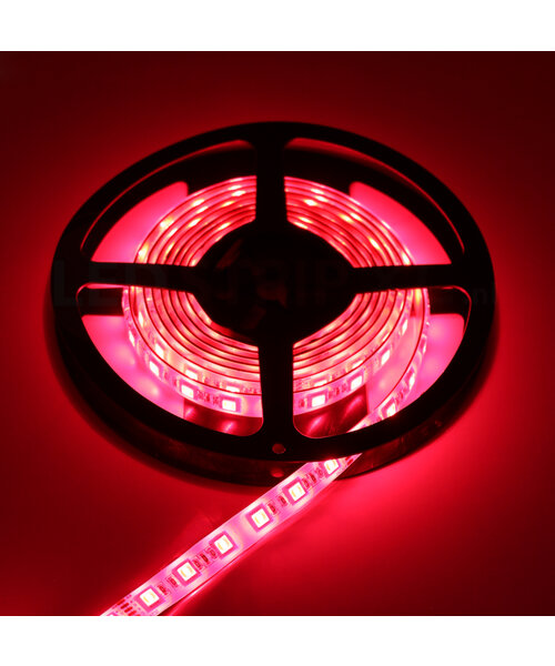 LED Strip RGB + Warm Wit + Koud Wit 2.5 meter 60led/m 5in1 led 24V Dual White CCT