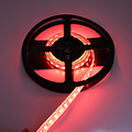 LED Strip RGB+CCT 1 meter 84led/m 5in1 LED 24V 2800k ~ 6500k