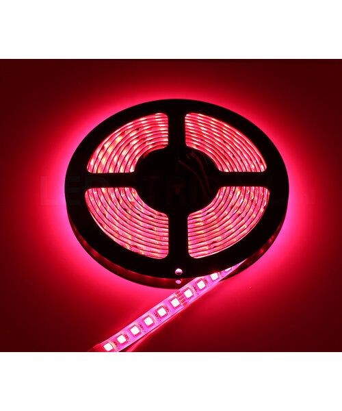 LED Strip RGBW Ultra 5 Meter 84 LED per meter 24 Volt