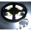 PowerLED Koud Wit 0,5 t/m 2,5 Meter 60LED per meter 12 Volt
