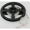PowerLED Groen 0,5 t/m 2,5 Meter 60LED per meter 12 Volt
