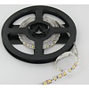 PowerLED Warm Wit 0,5 t/m 2,5 Meter 120 LED per meter 12 Volt