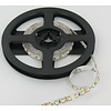 PowerLED Helder Wit 0,5 t/m 2,5 Meter 120LED per meter 12Volt