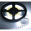 PowerLED Koud Wit 0,5 t/m 2,5 Meter 120LED per meter 12 Volt