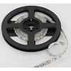 PowerLED Oranje 0,5 t/m 2,5 Meter 120LED per meter 12 Volt