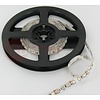 PowerLED Geel 0,5 t/m 2,5 Meter 120LED per meter 12 Volt