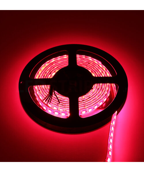 LED Strip RGBW DELUXE 2.5 Meter 96 LED per meter 24 Volt