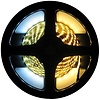 LED Strip Dual White 5 Meter 120 LED per meter 24 Volt