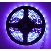 LEDStrip Paars 5 Meter 60 LED per meter 12 Volt