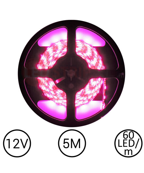 LEDStrip Roze 5 Meter 60 LED per meter 12 Volt
