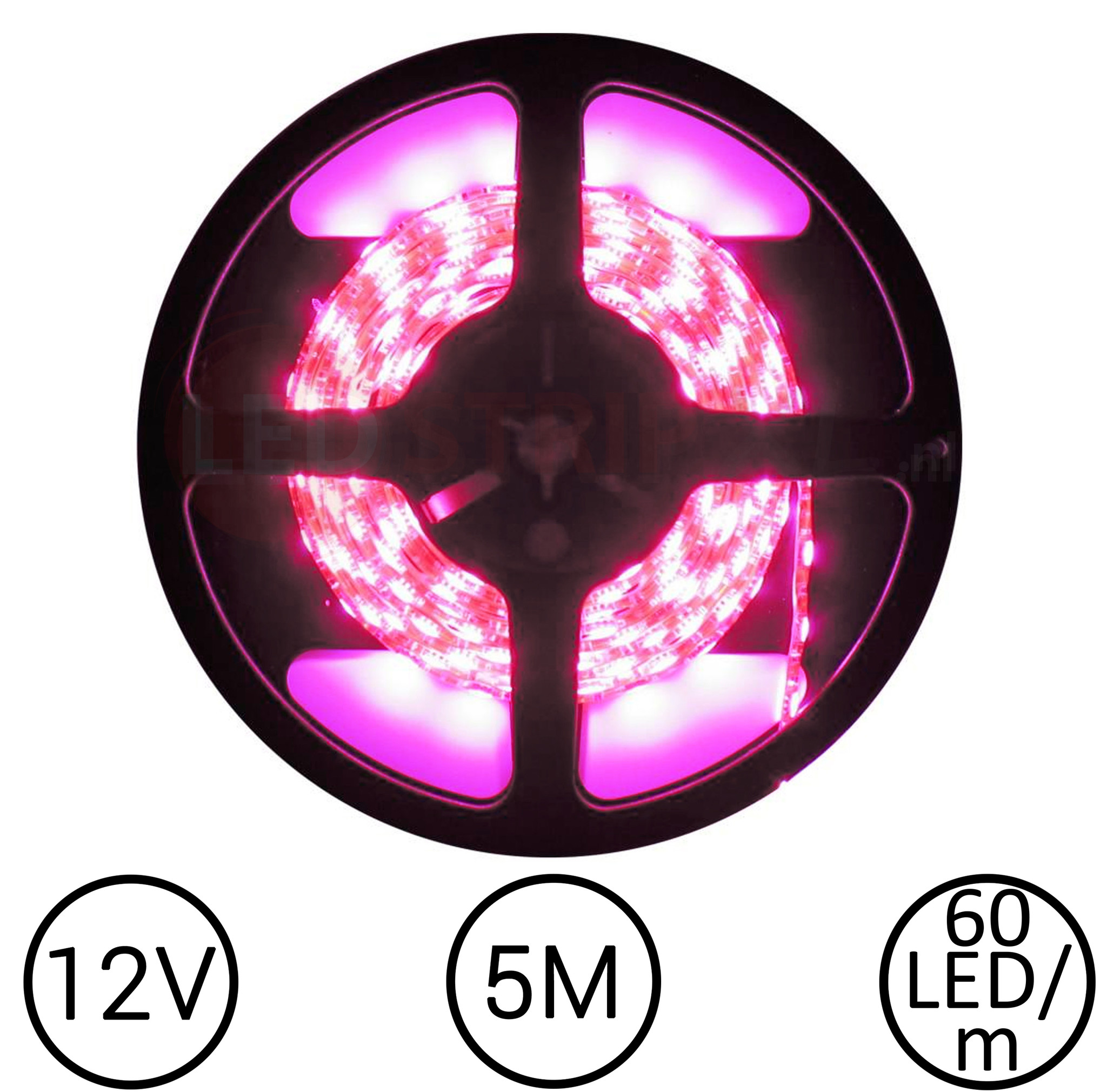 LEDStrip Roze 5 Meter 60 LED 12 Volt