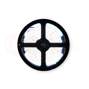 LED Strip Koud Wit 2.5 Meter 120 LED per meter 12 Volt - Ultra