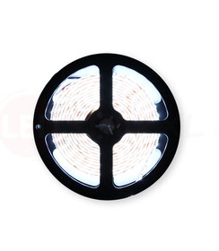 24V LED Strip Koud Wit 2.5 Meter 120 LED - Ultra