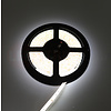LED Strip Helder Wit 5 Meter 120 LED per meter 12 Volt - Ultra