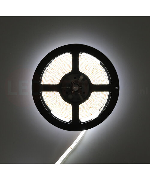 24V LED Strip Helder Wit 5 Meter 120 LED per meter - Ultra