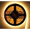 LEDStrip Warm Wit 5 Meter 120 LED 24 Volt - Basic
