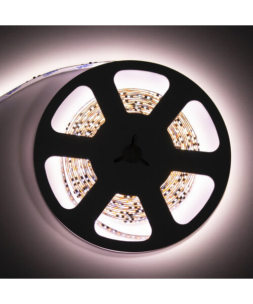 LED Strip Dim to Warm (1800-4000K) 5 meter IP20 24V