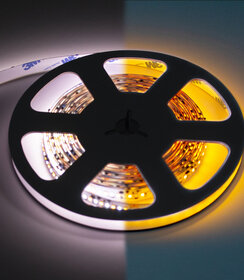 LED Strip Dim to Warm (1800-4000K) 5 meter IP20