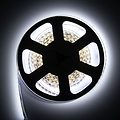 LED Strip Dual White 280 LED per meter 3000K-6500K 5 meter 24V