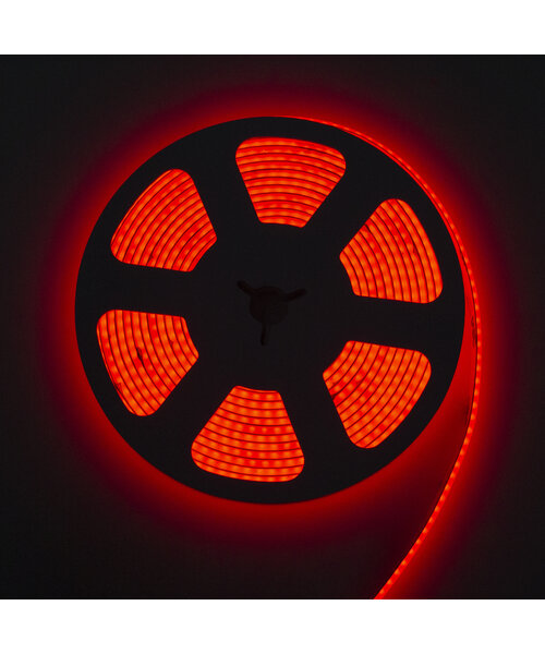 RGBW COB LED Strip 5 meter 840led/m 24V