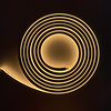 Neon LEDStrip - Extra Warm Wit - 10mm - 5 meter - 24 Volt