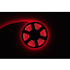 RGB COB LED Strip 5 meter 1134 leds per meter 24V