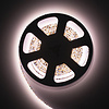 LED Strip Dim to Warm (1800-4000K) 2,5 meter IP20