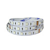 LEDStrip 1 Meter RGB + Amber 60 LED/m 10mm 24 Volt IP20