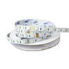 LEDStrip 2,5 Meter RGB + Amber 60 LED/m 10mm 24 Volt IP20