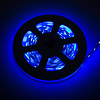 LEDStrip 2,5 Meter RGB + Amber 60 LED/m 10mm 24 Volt IP20