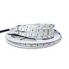 LEDStrip 7,5 Meter RGB + Amber 60 LED/m 10mm 24 Volt IP20