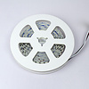 LEDStrip 2,5 Meter RGB + Amber 120 LED/m 12mm 24 Volt IP20