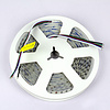 LEDStrip 5 Meter RGB + Amber 120 LED/m 12mm 24 Volt IP20