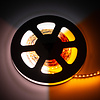 LEDStrip 2,5 meter DualWhite 1800k - 6500k instelbaar 320 LED/m 24 Volt IP20