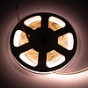 LEDStrip 5 meter DualWhite 1800k - 6500k instelbaar 320 LED/m 24 Volt IP20