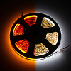 LEDStrip 7,5 meter DualWhite 1800k - 6500k instelbaar 320 LED/m 24 Volt IP20
