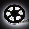 LEDStrip 2,5 meter RGB + 1800k - 6500k instelbaar 336 LED/m 24 Volt IP20