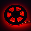 LEDStrip 2,5 meter RGB + 1800k - 6500k instelbaar 336 LED/m 24 Volt IP20