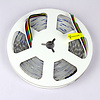 LEDStrip 5 meter RGB + 1800k - 6500k instelbaar 336 LED/m 24 Volt IP20