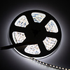 LEDStrip 5 meter RGB + 1800k - 6500k instelbaar 336 LED/m 24 Volt IP20